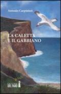 La caletta e il gabbiano