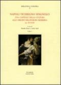 Napoli viceregno spagnolo. Una capitale della cultura alle origini dell'Europa moderna (sec. XVI-XVII)