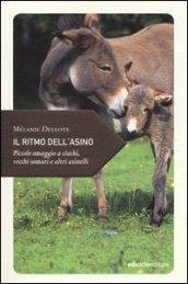 Il ritmo dell'asino. Piccolo omaggio a ciuchi, vecchi somari e altri asinelli