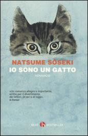 Io sono un gatto