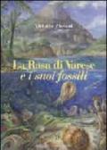 La Rasa di Varese e i suoi fossili