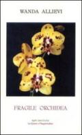 Fragile orchidea