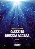 Guizzi di brezza accesa