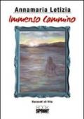 Immenso cammino