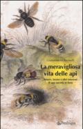 La meravigliosa vita delle api. Amore, lavoro e altri interessi di una società in fiore