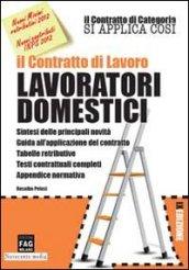 Il contratto di lavoro. Lavoratori domestici