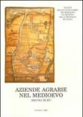 Aziende agrarie nel medioevo (secoli IX-XV). Forme della conduzione fondiaria nell'Italia nord-occidentale