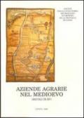 Aziende agrarie nel Medioevo. Forme della consuzione fondiaria nell'Italia nord-occidentale (secoli IX-XV)