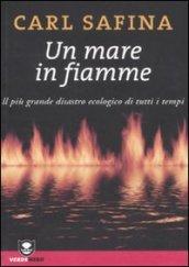 Un mare in fiamme. Il più grande disastro ecologico di tutti i tempi