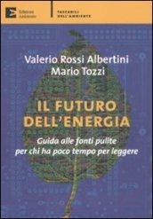 Il futuro dell'energia. Guida alle fonti pulite per chi ha poco tempo per leggere