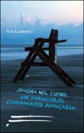 Dimora nel cuore un miracolo chiamato amicizia