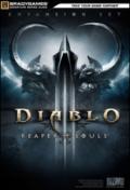 Diablo III. Raper of souls