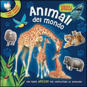 Animali del mondo. Con adesivi