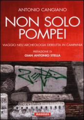 Non solo Pompei. Viaggio nell'archeologia derelitta in Campania