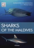 Sharks of the maldives