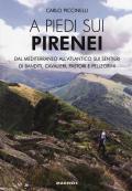 A piedi sui Pirenei. Dal Mediterraneo all'Atlantico sui sentieri di banditi, cavalieri, pastori e pellegrini