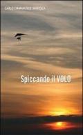 Spiccando il volo