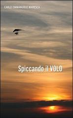 Spiccando il volo