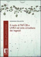 Ruolo di TAF12b e UVR3 nel ciclo circadiano dei vegetali