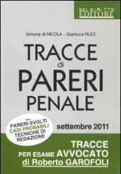 Tracce di pareri penale con pareri svolti, casi probabili, tecniche di redazione