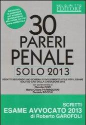 30 pareri penale. Solo 2013