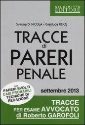 Tracce di pareri penale con pareri svolti, casi probabili, tecniche di redazione