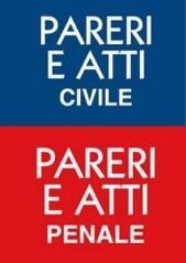 Civile. Penale. Pareri a atti selezionati tra le questioni più probabili e ad alto rischio concorsuale