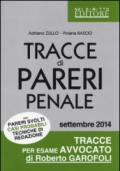 Tracce di pareri penale con pareri svolti, casi probabili, tecniche di redazione