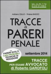 Tracce di pareri penale con pareri svolti, casi probabili, tecniche di redazione