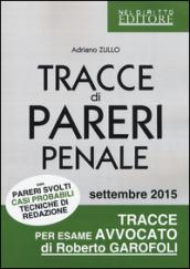 Tracce di pareri penale con pareri svolti, casi probabili, tecniche di redazione