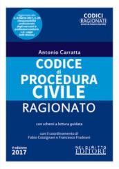 Codice di procedura civile ragionato. Ediz. minore