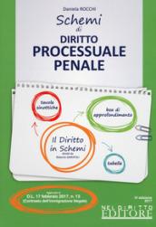 Schemi di diritto processuale penale. Con Contenuto digitale per download e accesso on line