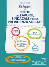 Schemi di diritto del lavoro, sindacale e della previdenza sociale