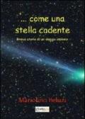 ... Come una stella cadente. Breve storia di un viaggio insieme