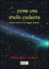 ... Come una stella cadente. Breve storia di un viaggio insieme