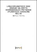L'asilo diplomatico e caso Assange nel diritto internazionale e protezione diplomatica e consolare nell'UE