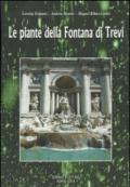 Le piante della fontana di Trevi