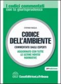 Codice dell'ambiente