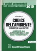 Codice dell'ambiente