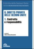 Il diritto privato delle sezioni unite: 1