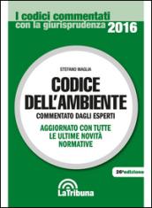 Codice dell'ambiente