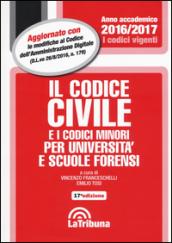 Il codice civile e i codici minori per università e scuole forensi