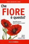 CHE FIORE E' QUESTO?