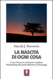 La nascita di ogni cosa. Come l'universo è diventato complesso. Dal Big Bang allo spirito dell'uomo in 28 passaggi