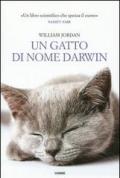 Un gatto di nome Darwin