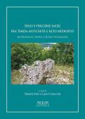 Spazi e percorsi sacri tra tarda antichità e alto Medioevo. Archeologia, storia e nuove tecnologie