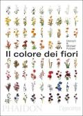 Il colore dei fiori