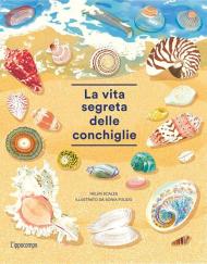 La vita segreta delle conchiglie. Album scoperte