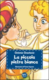 La piccola pietra bianca