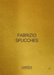 Fabrizio Spucches. Luminous Phenomena. Ediz. italiana, inglese e francese. Vol. 12